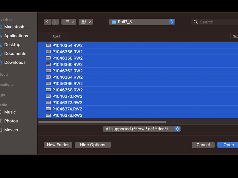 A whole roll of Panasonic RW2 raw files selected at once in NegBreaker’s open dialog
